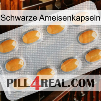 Black Ant Capsules cialis3